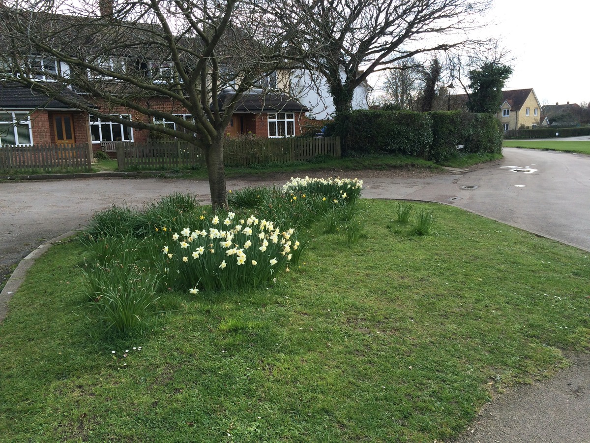 SPRING FLOWERS LOWER GREEN.